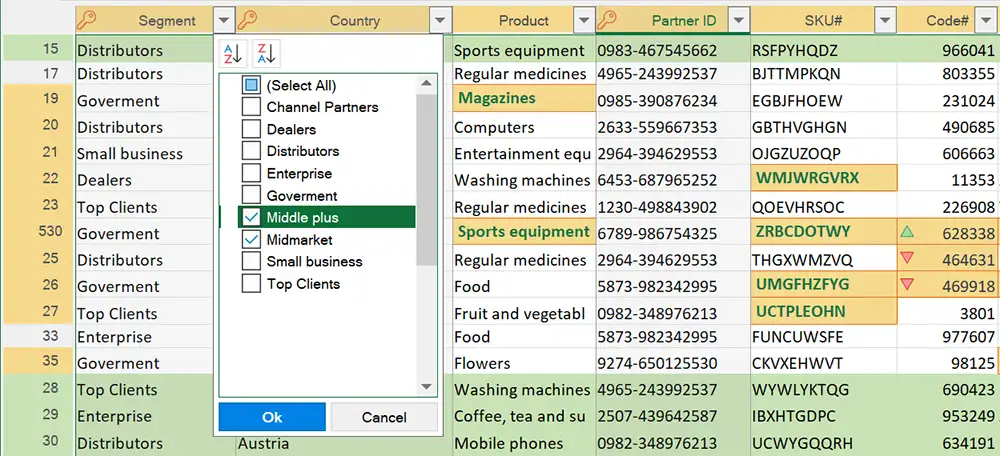 Excel ファイルのセグメント別にデータをフィルター処理する