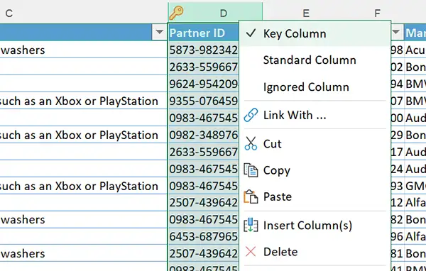 mark column as key on the worksheet