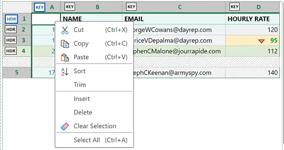 Context menu in the worksheet